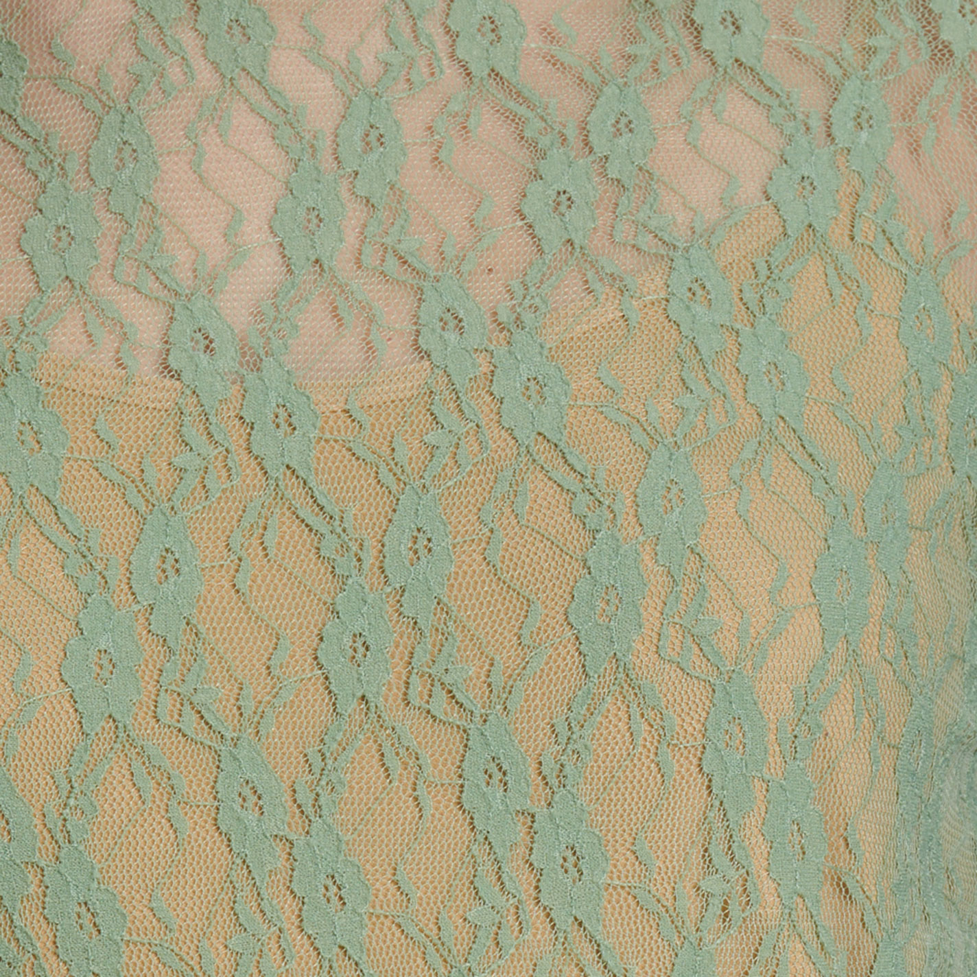 Moa Moa Women's Green Sheer Lace Long Sleeve Top - Image 1