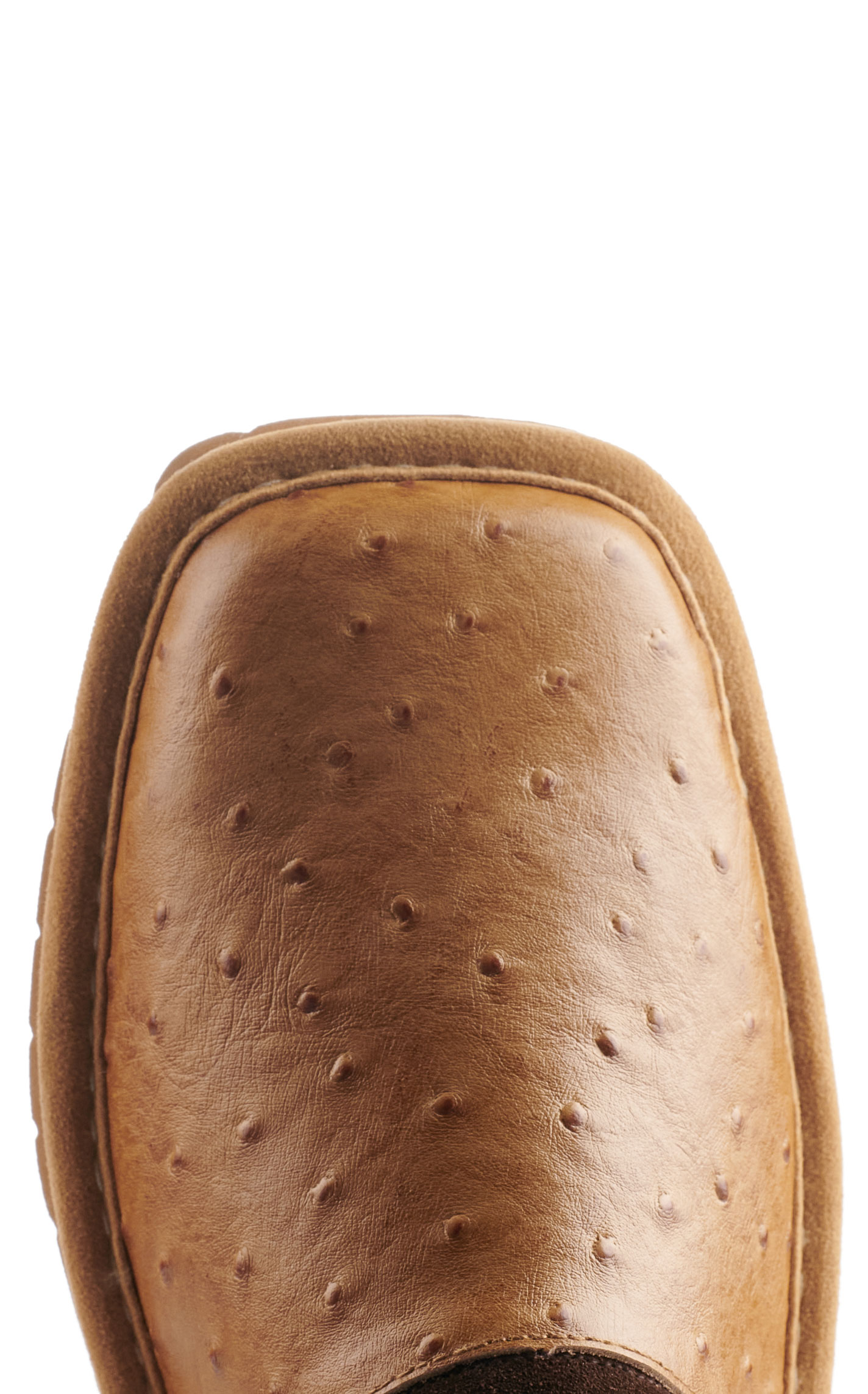 Ariat Men's Silversmith Tan Ostrich Print Slippers - Image 1