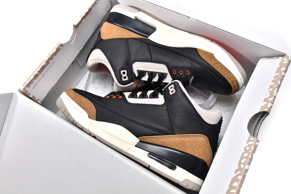Air Jordan 3 Desert Elephant CT8532-008