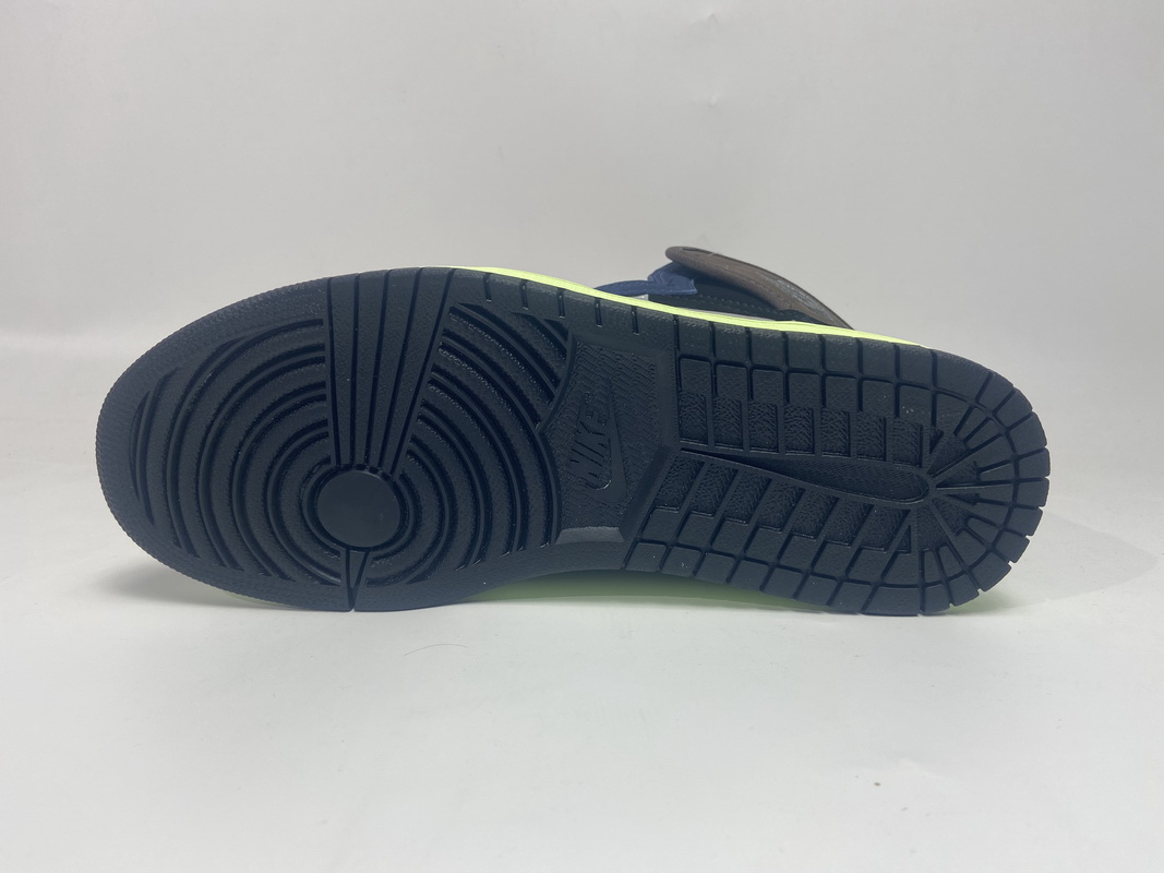 Air Jordan 1 High OG Bio Hack   555088-201