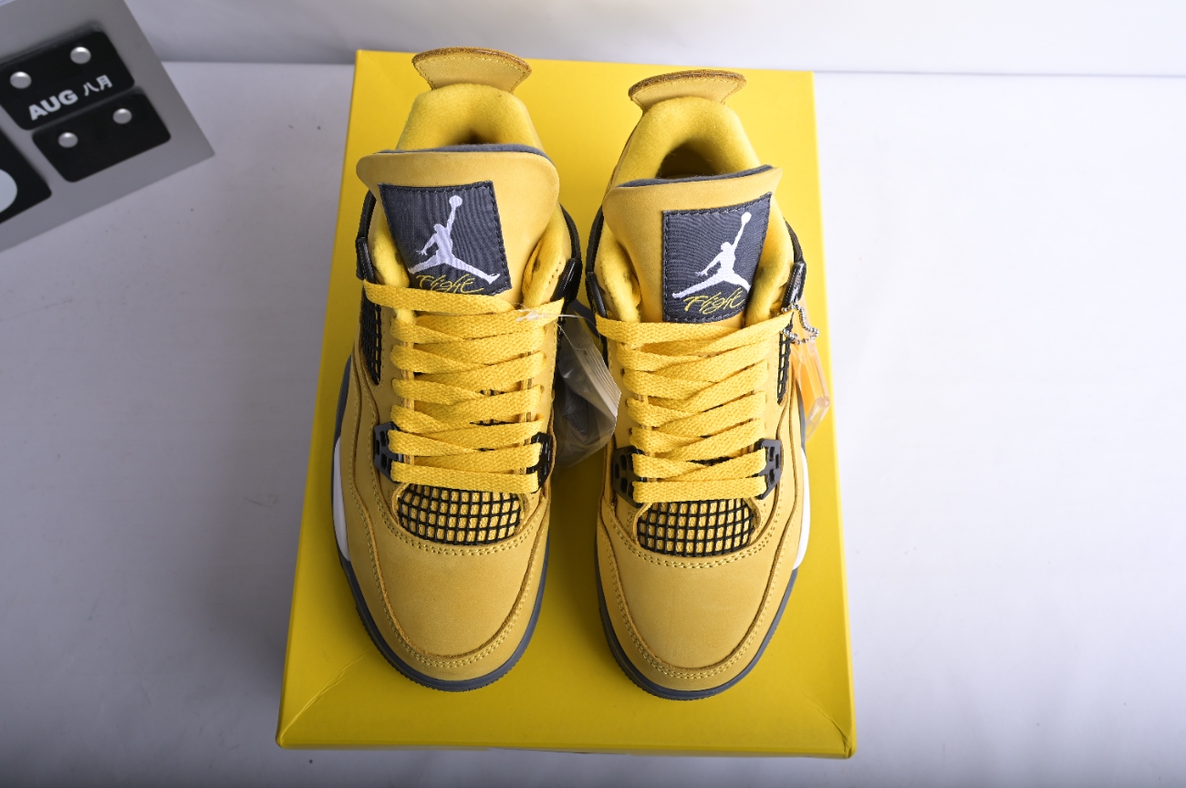 Air Jordan 4 Retro LS Lightning 314254-702