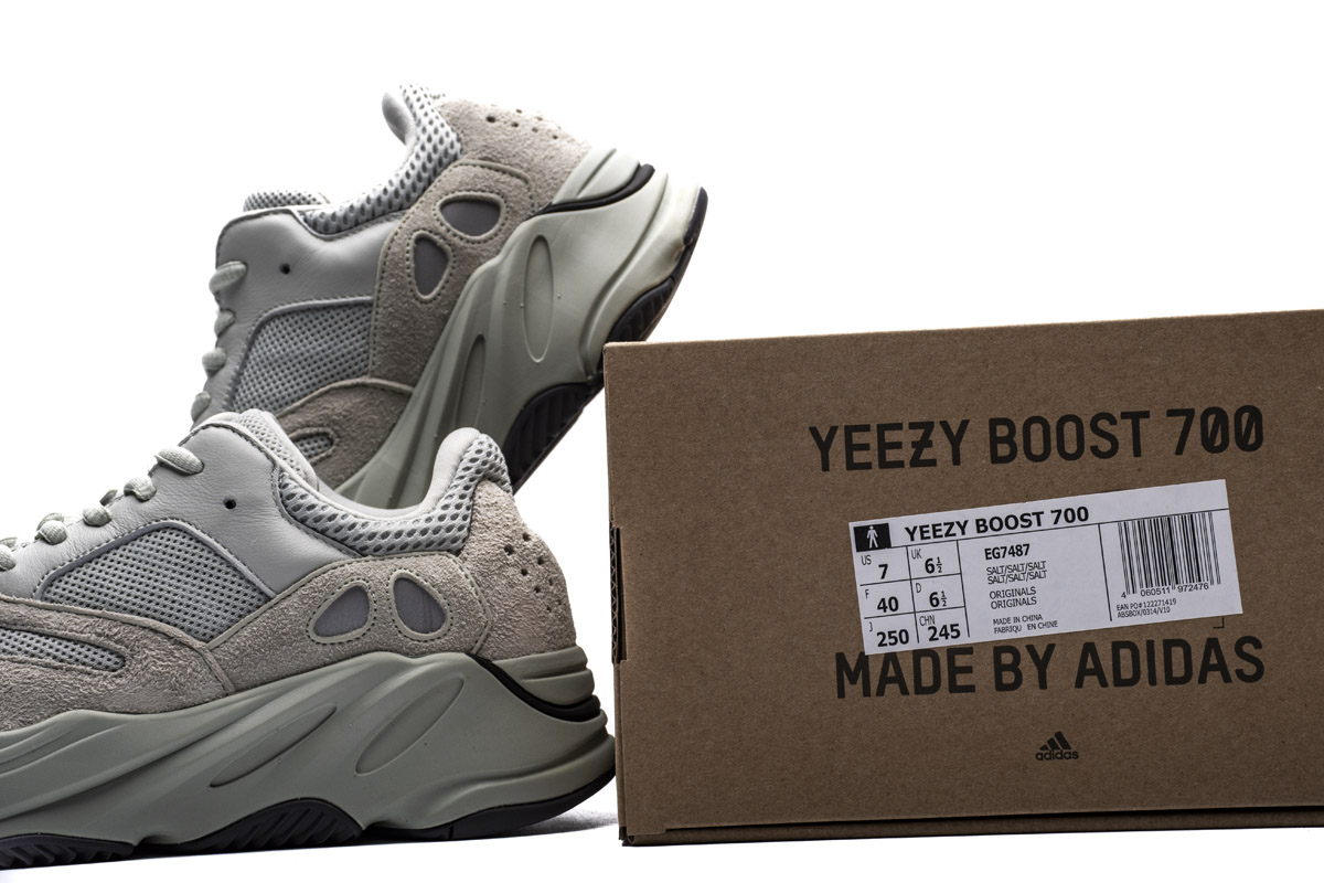 Adidas Yeezy Boost 700  Salt  EG7487