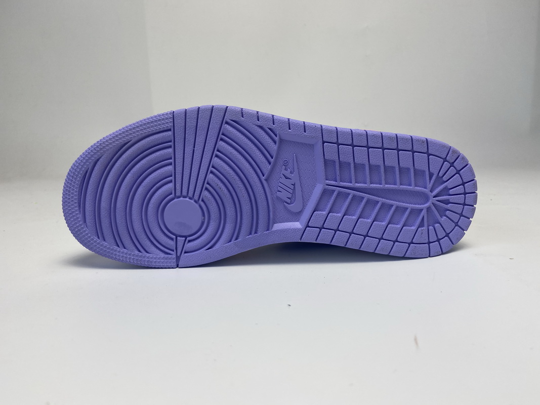 Air Jordan 1 Low SE Arctic Punch  CK3022-600