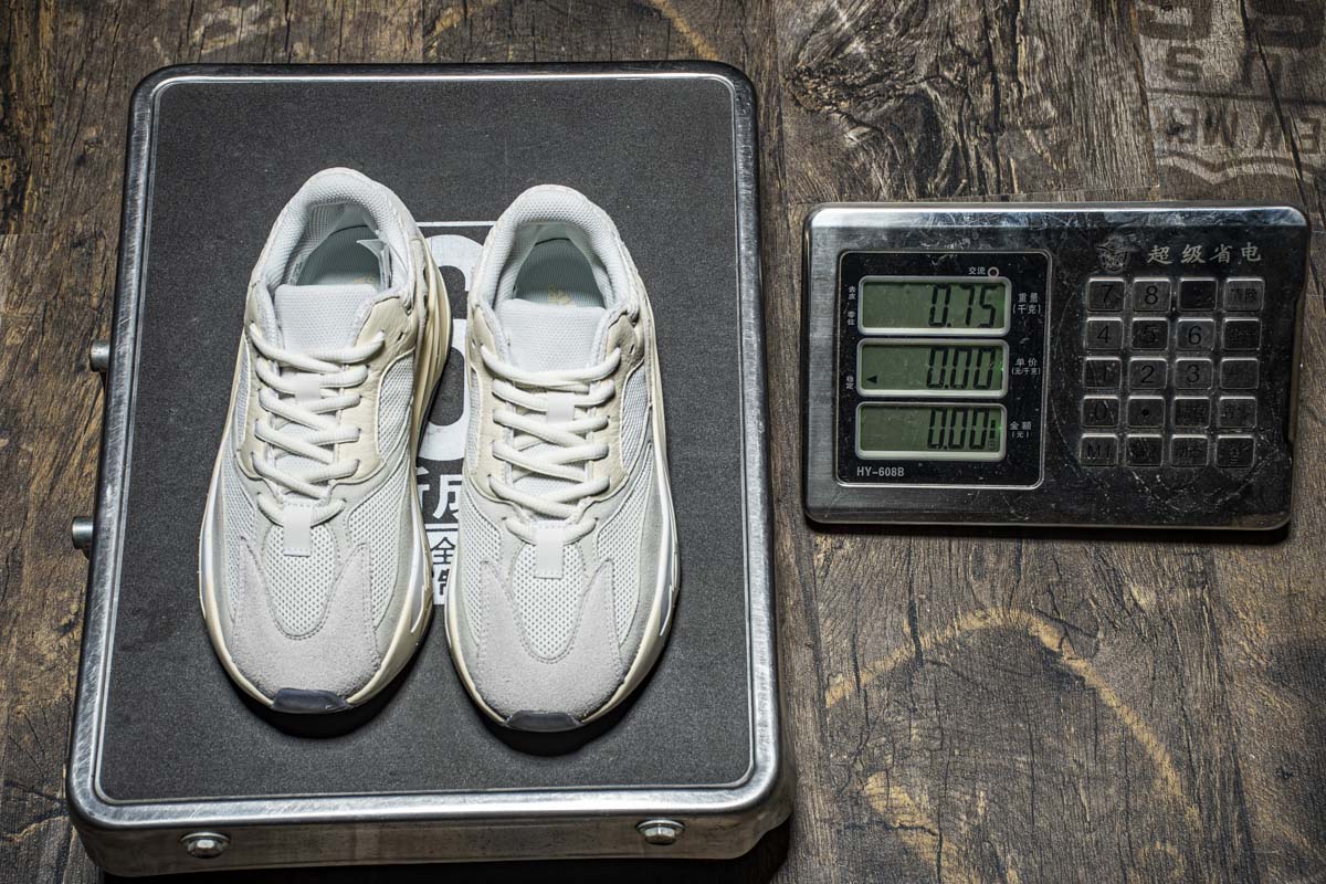 Yeezy Boost 700“Analog” EG7596