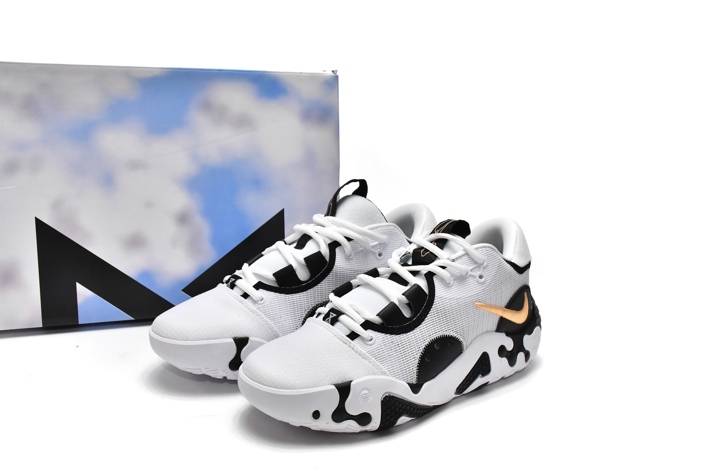 Nike PG 6 EP Panda  DH8447-101