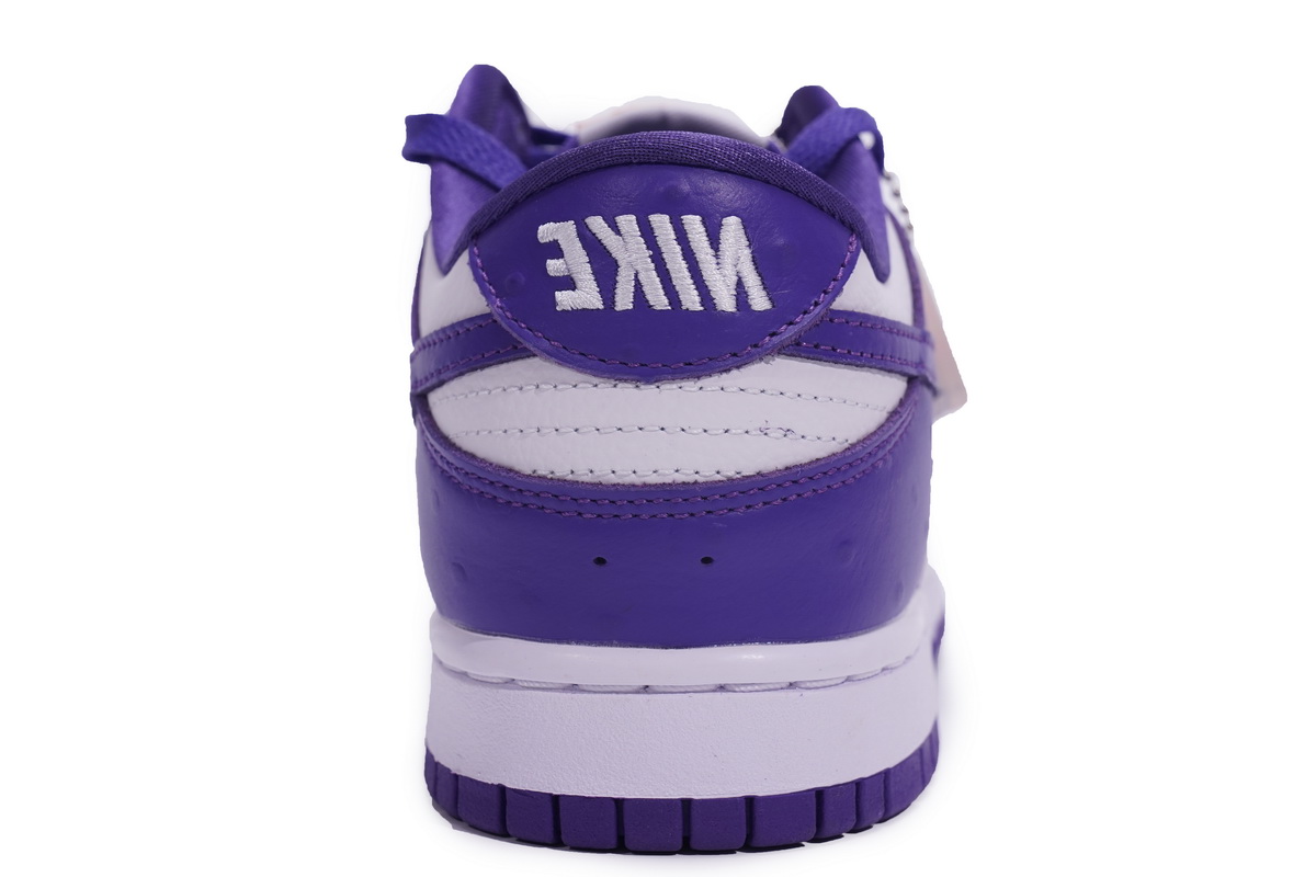Nike Dunk SB Low Flip The Old School   DJ4636-100