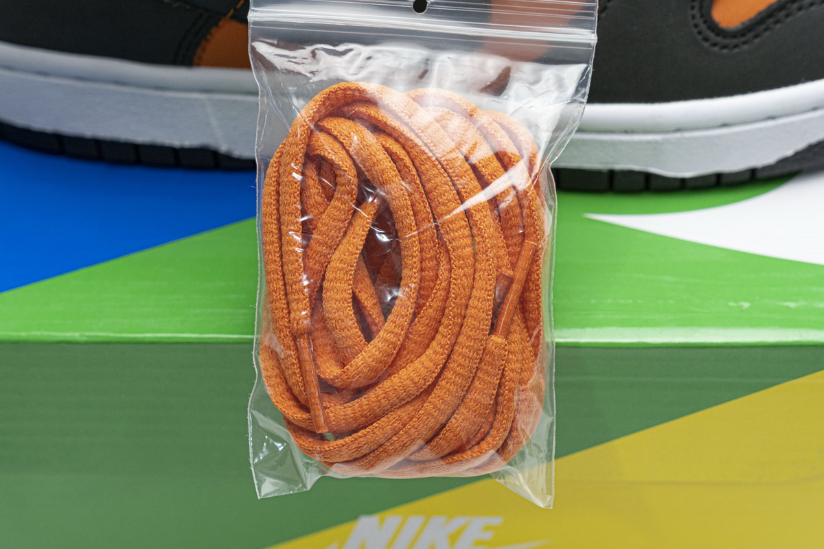 Nike SB Dunk Low Pro “Orange Flash”  304292-801