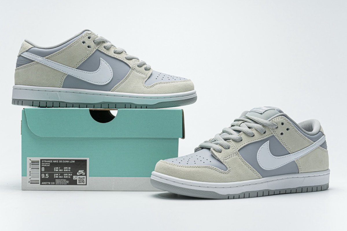 Nike SB Dunk Low TRD “Summit White”  AR0778-110