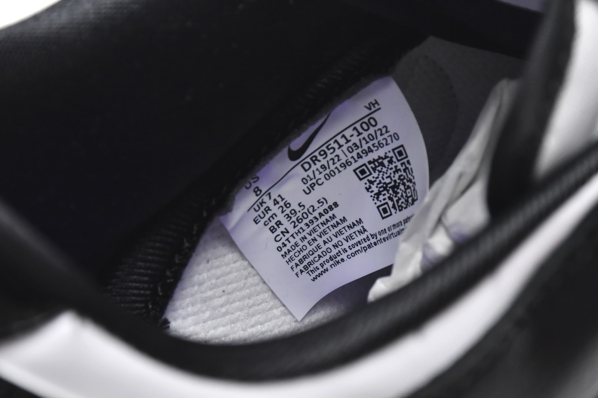 Nike Dunk Low World Champ  DR9511-100