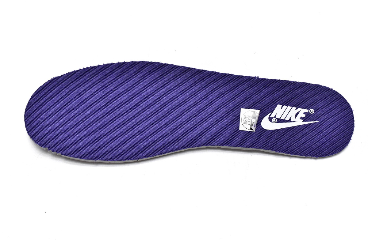 Nike Dunk Low Championship Court Purple  DD1391-104