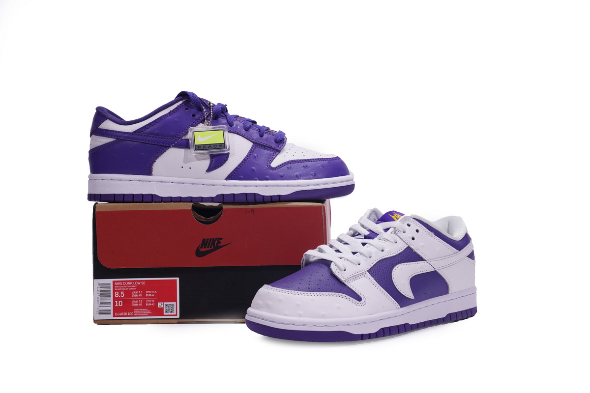 Nike Dunk SB Low Flip The Old School   DJ4636-100