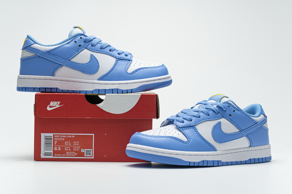 Nike SB Dunk Low Coast Blue   DD1503-100