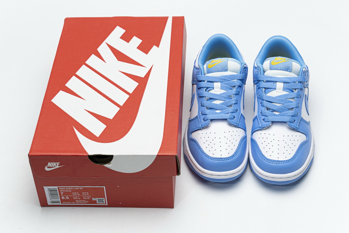 Nike SB Dunk Low Coast Blue   DD1503-100