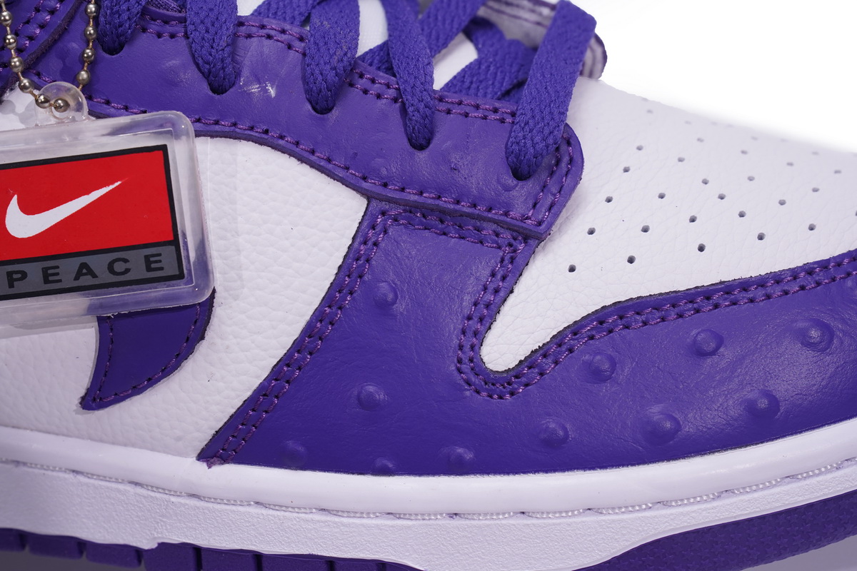 Nike Dunk SB Low Flip The Old School   DJ4636-100
