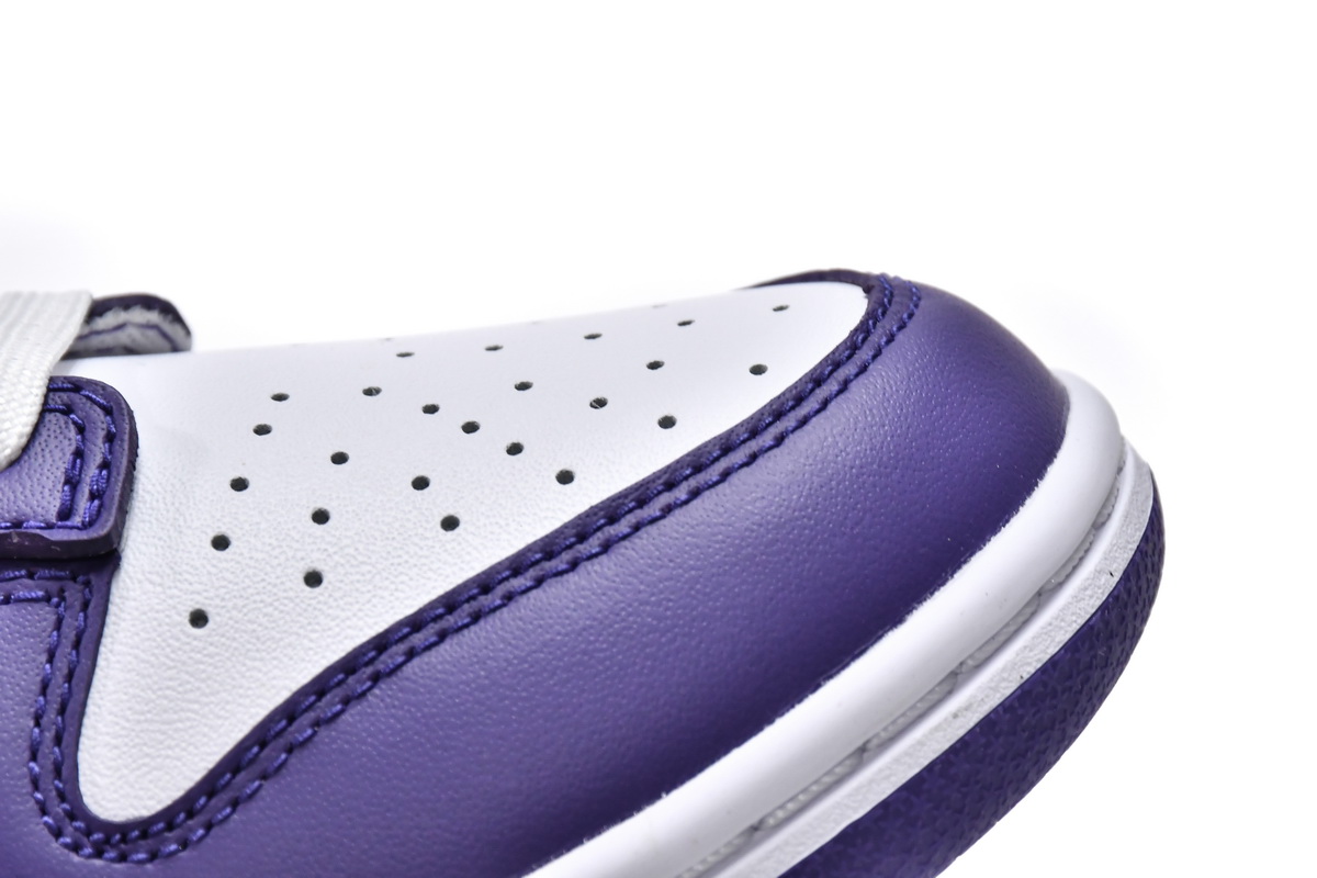 Nike Dunk Low Championship Court Purple  DD1391-104