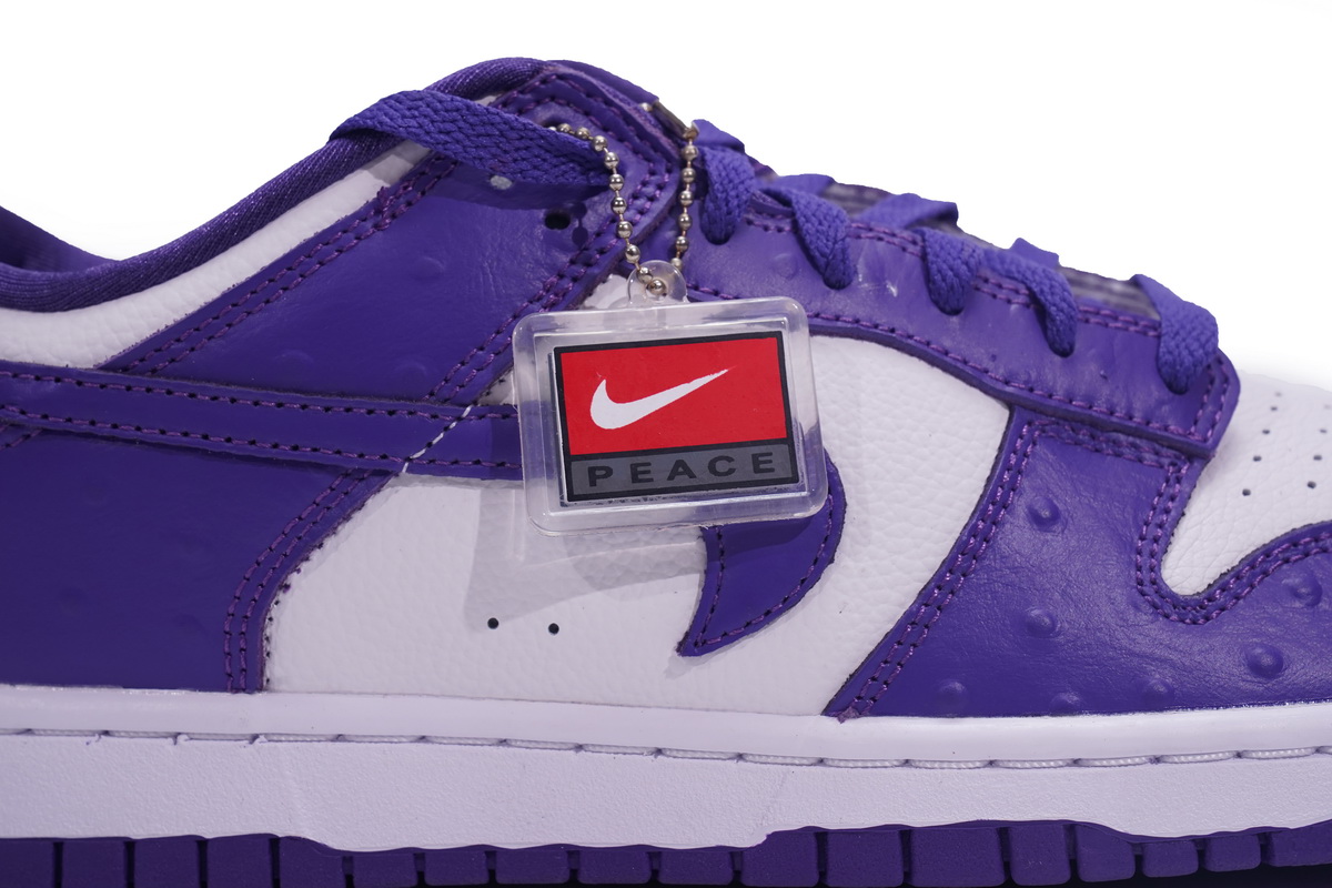 Nike Dunk SB Low Flip The Old School   DJ4636-100