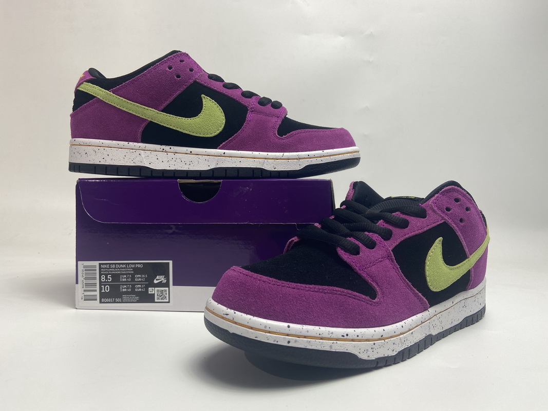Nike SB Dunk Low ACG Terra Red Plum  BQ6817-501