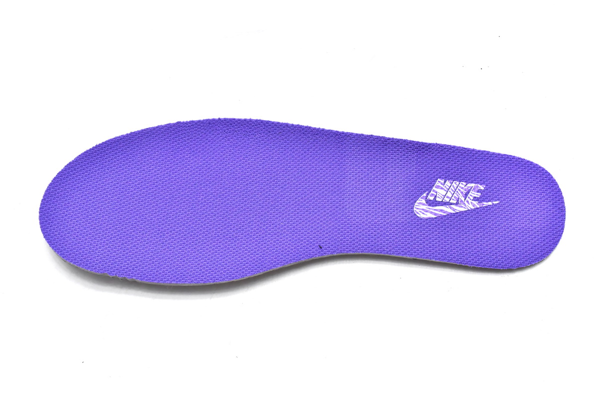 Nike Dunk Low World Champ  DR9511-100