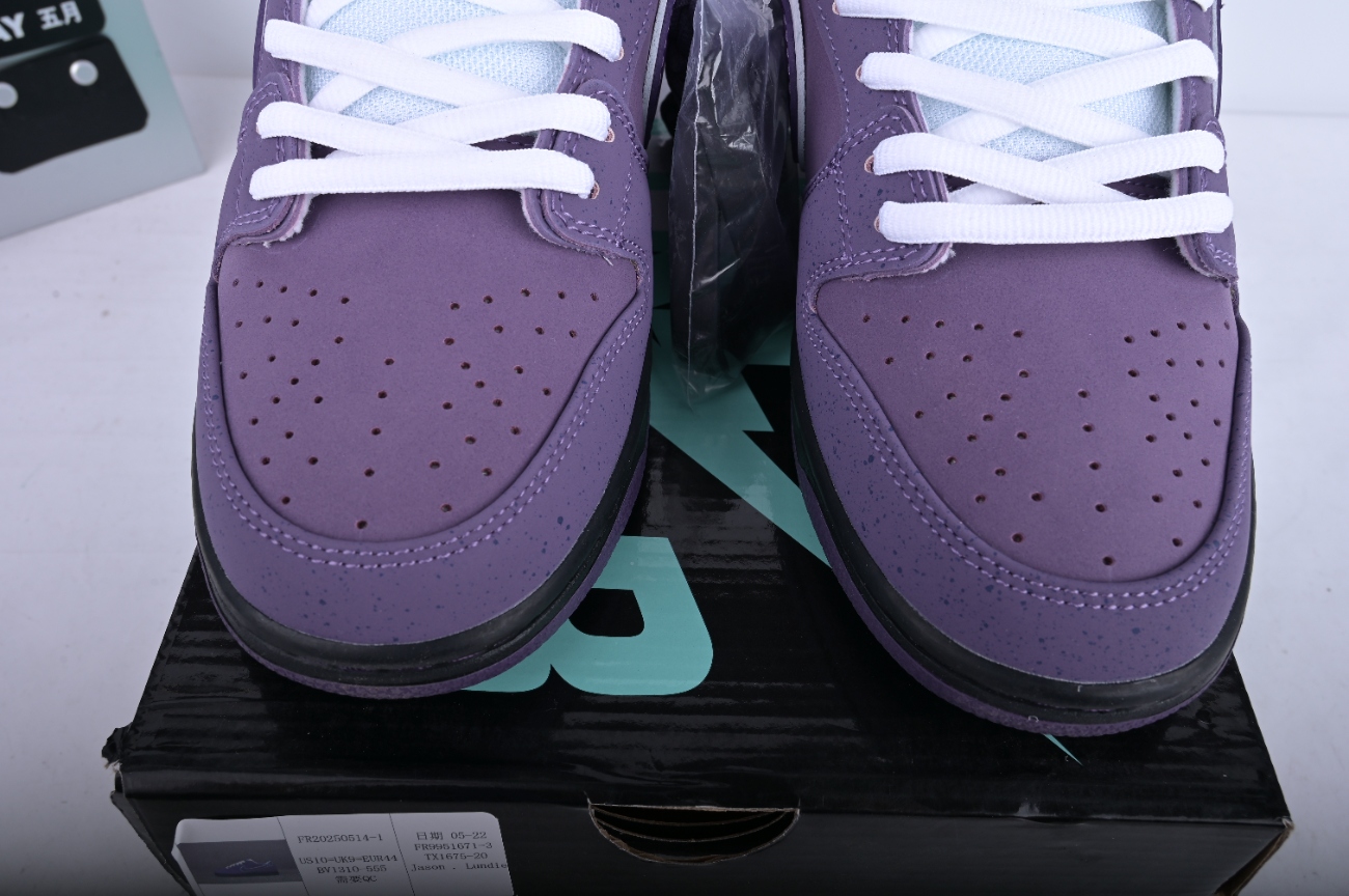 M Batch Concepts x Nik SB Dunk Low ConceptsL  BV1310-555