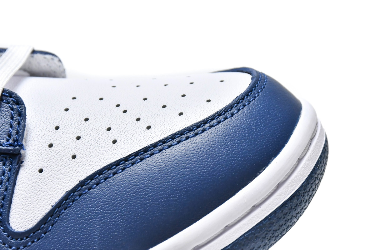 Nike Dunk Low Valerian Blue  DD1391-400