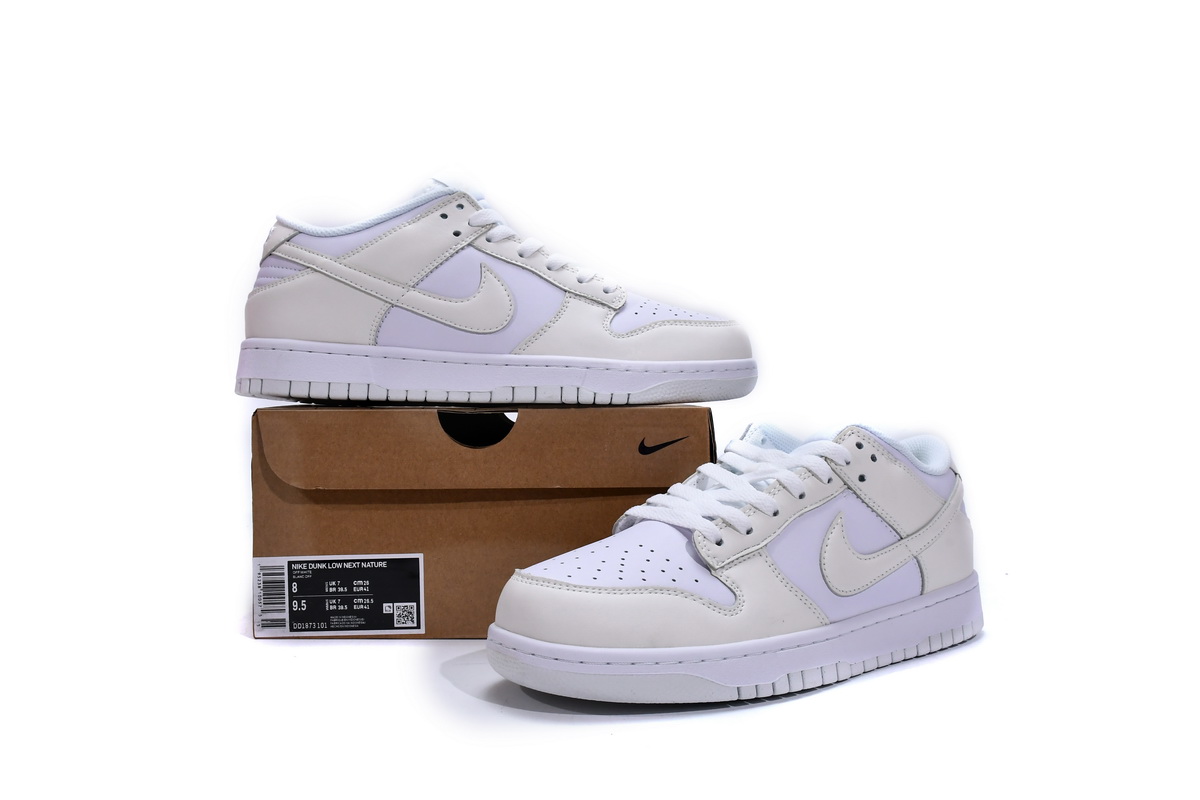 Nike Dunk Low Move To Zero  DD1873-101
