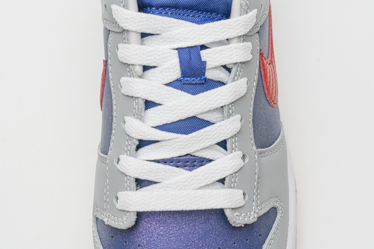 Nike Dunk Low “Samba”  CZ2667-400