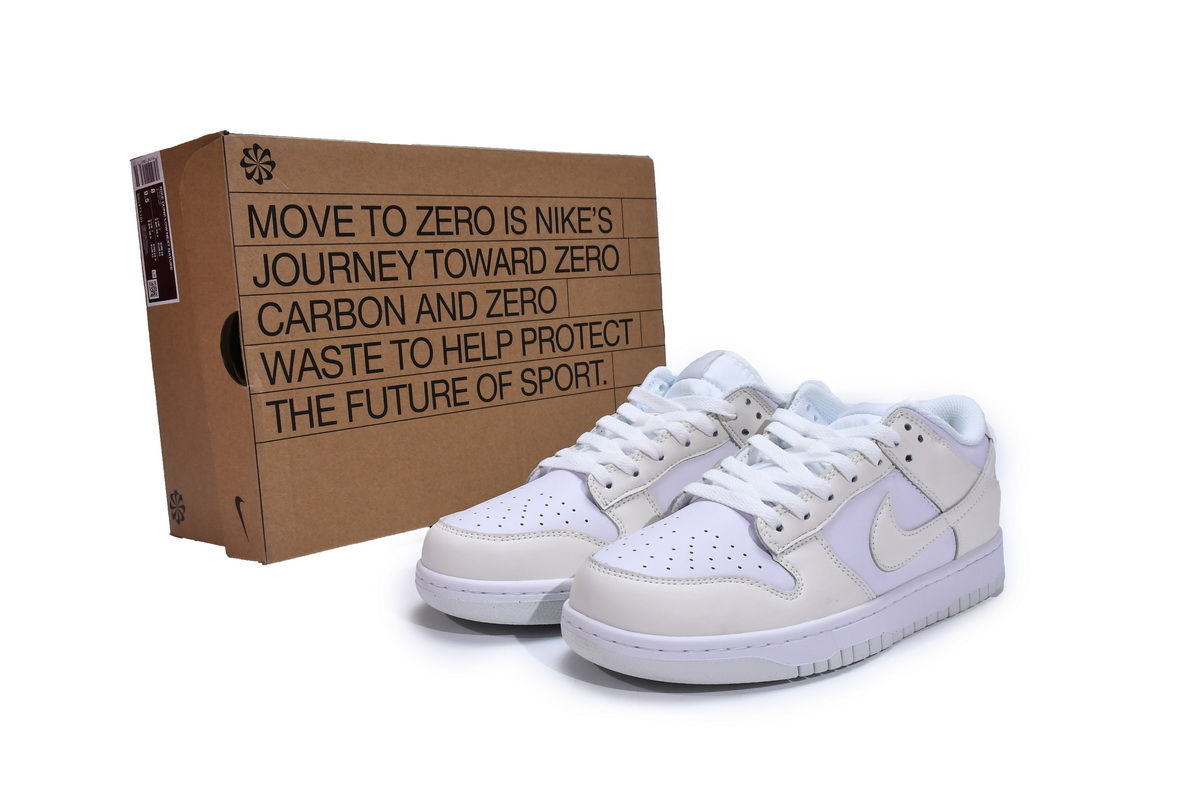 Nike Dunk Low Move To Zero  DD1873-101