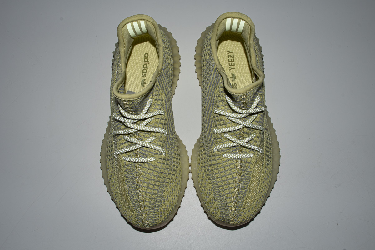 Adidas Yeezy 350 Boost V2  Antlia  FV3250