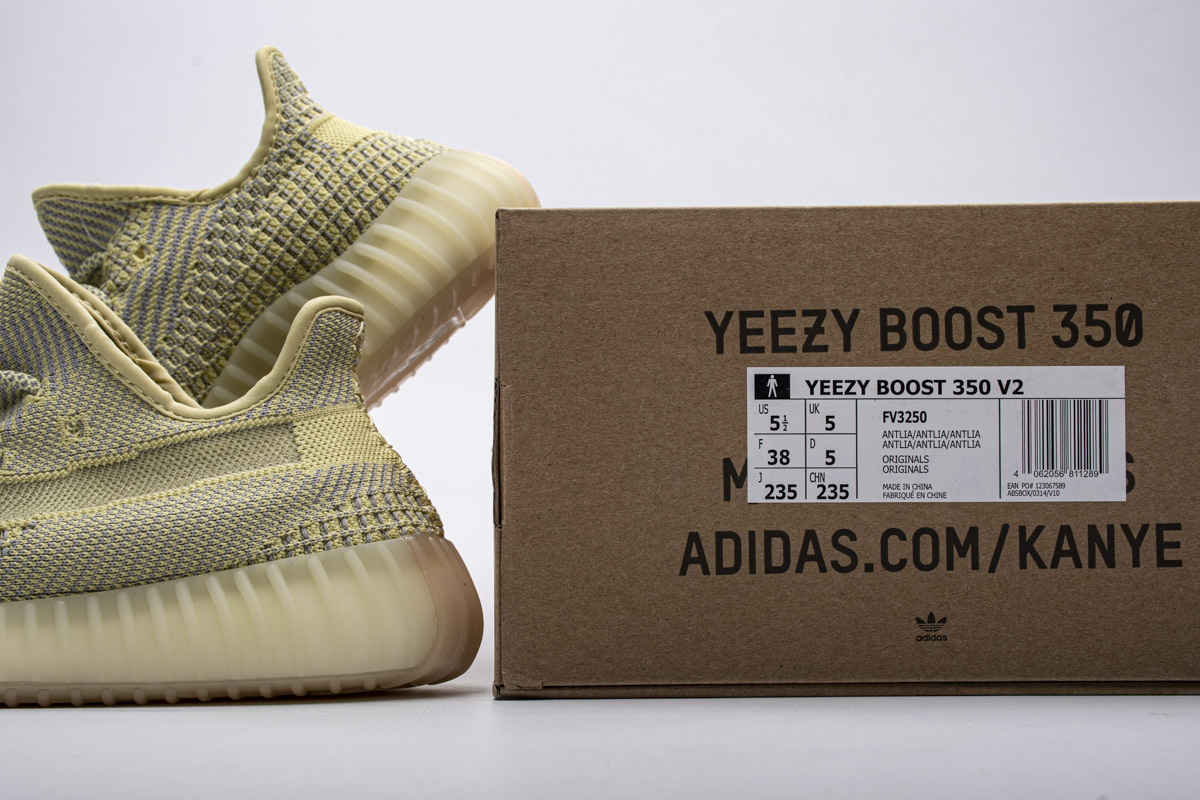 Adidas Yeezy 350 Boost V2  Antlia  FV3250
