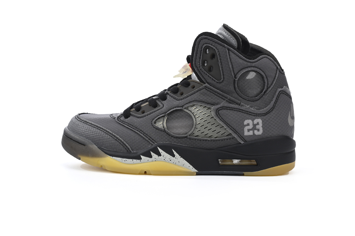 Jordan 5 Off-White Muslin CT8480-001