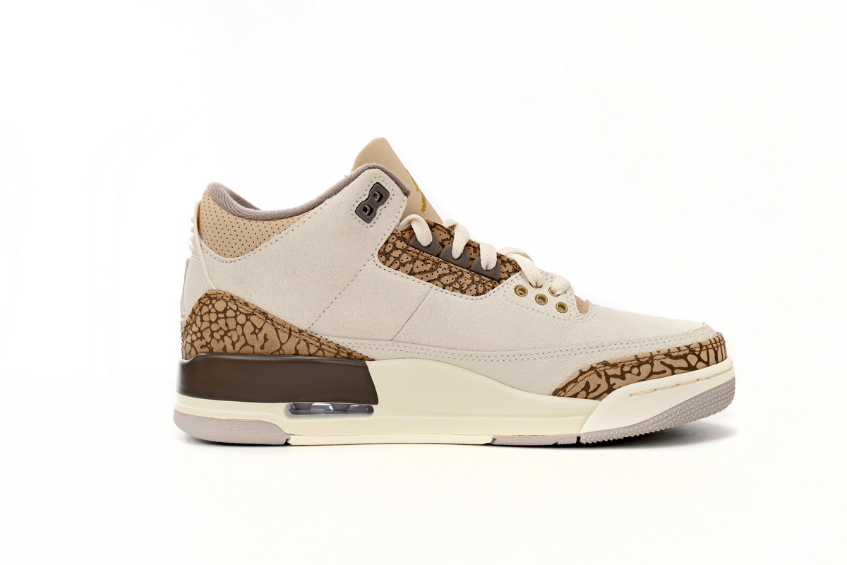 Jordan 3 Retro Palomino CT8532-102
