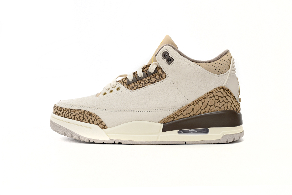 Jordan 3 Retro Palomino CT8532-102