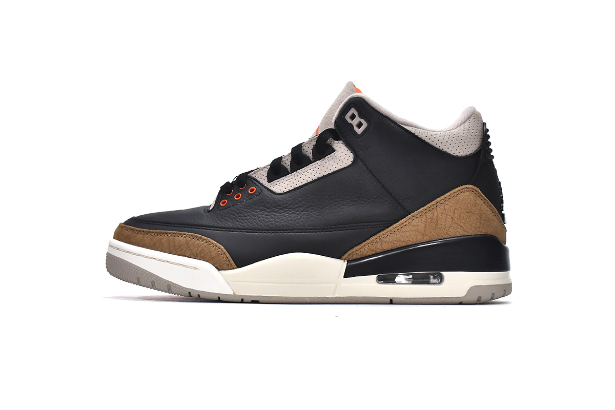 Air Jordan 3 Retro Desert Elephant CT8532-008