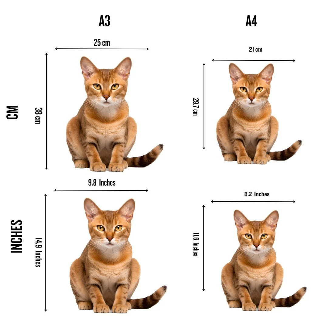 Chausie Cat - Jigsaw Puzzle