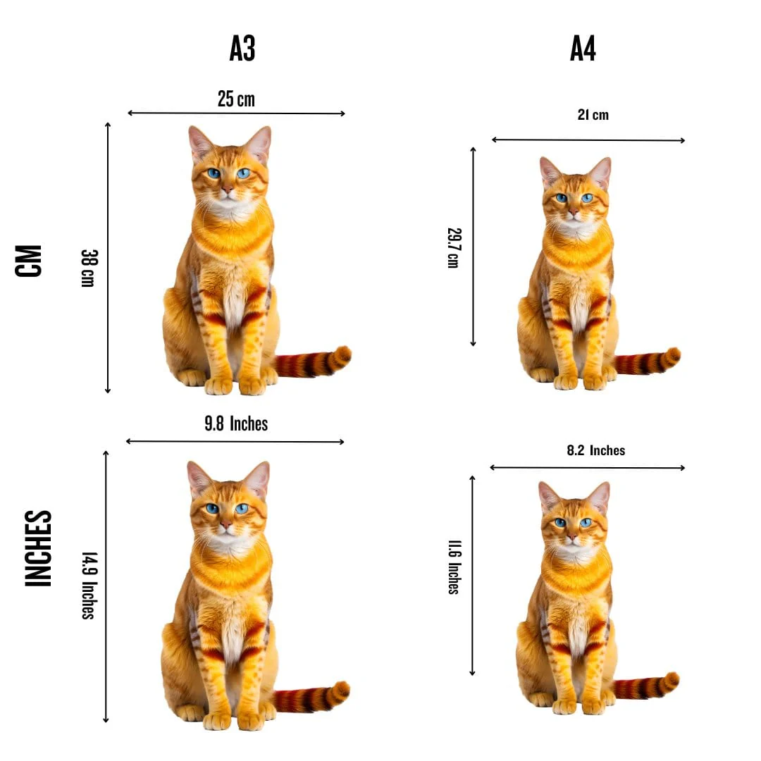 Singapura Cat - Jigsaw Puzzle
