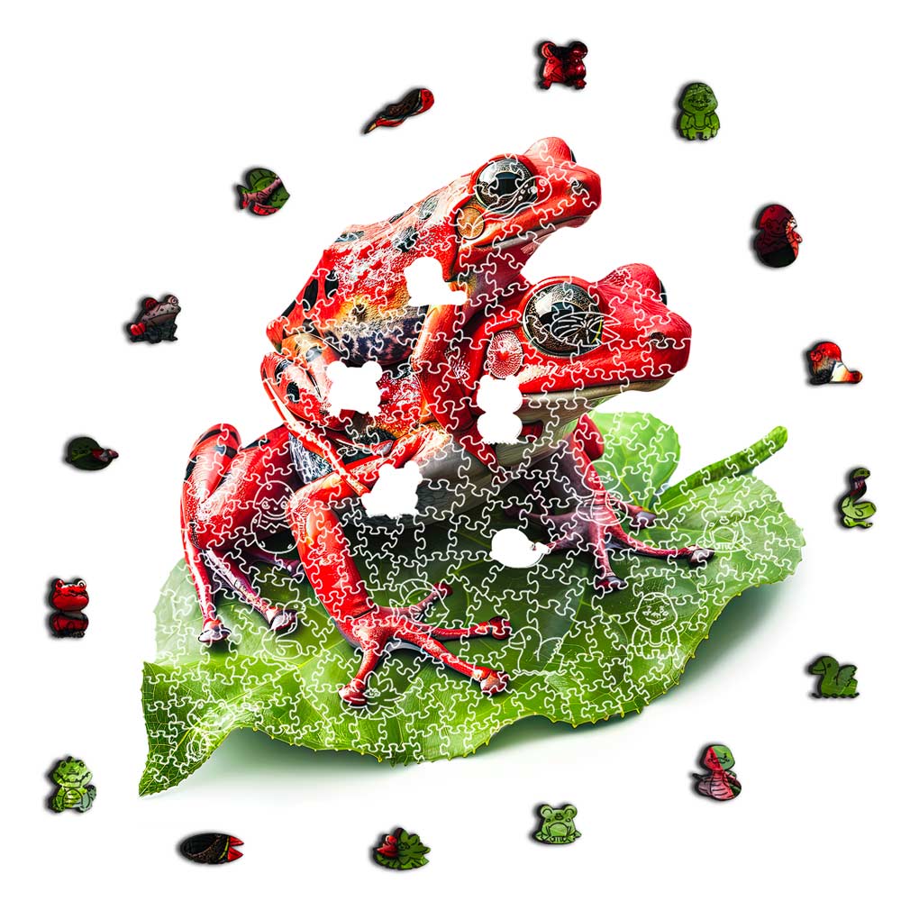 Frog Guardians - Jigsaw Puzzle