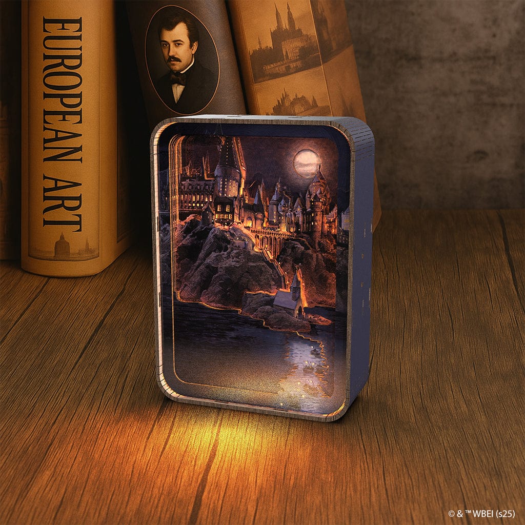 Hogwarts In The Moonlight - 3D DIY Wooden Puzzle Night Lamp