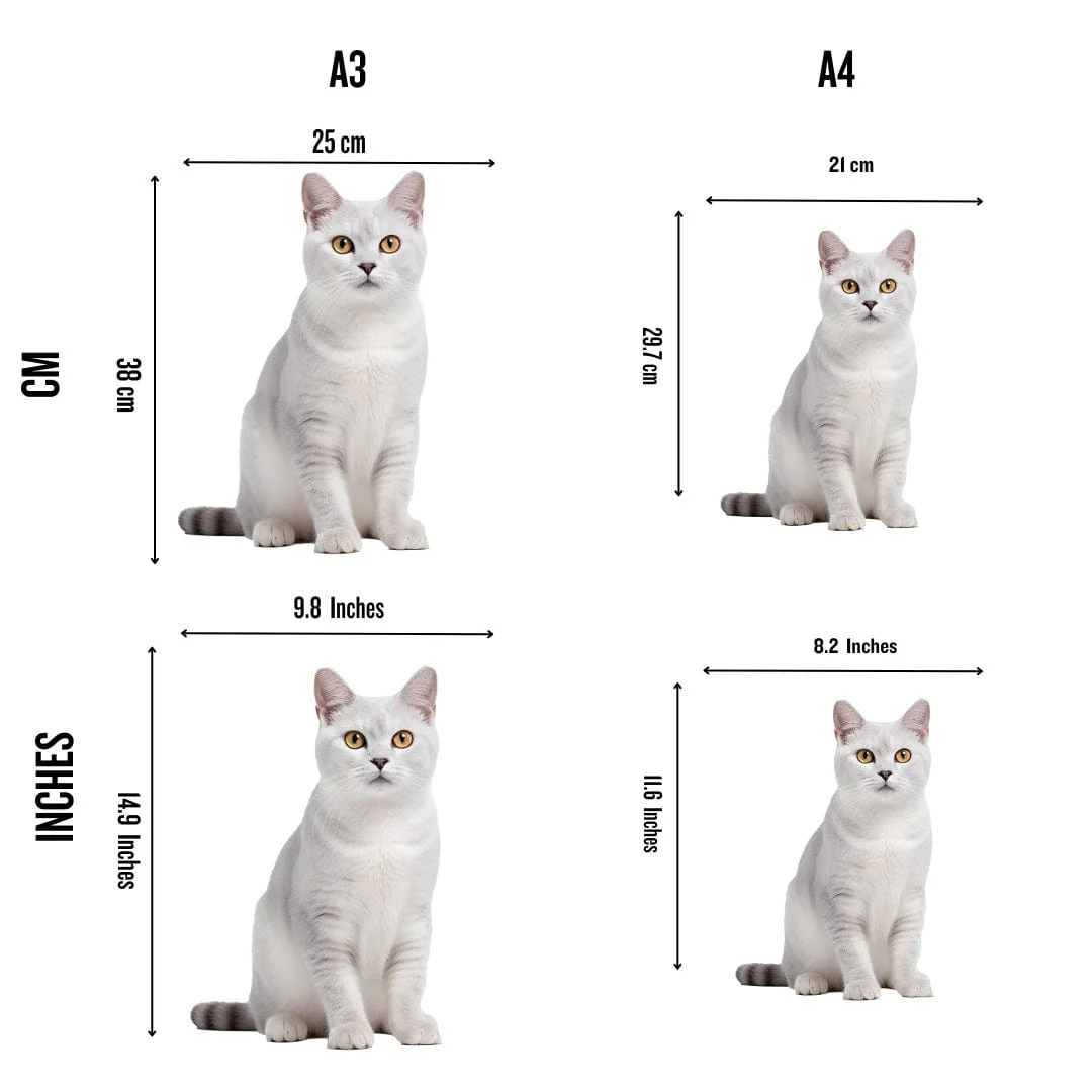 Burmilla Cat - Jigsaw Puzzle
