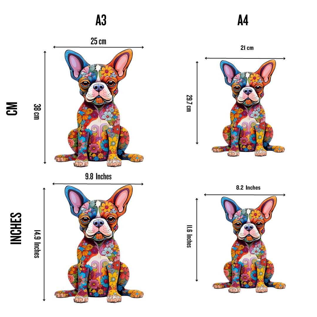 Boston Terrier Dog - Jigsaw Puzzle
