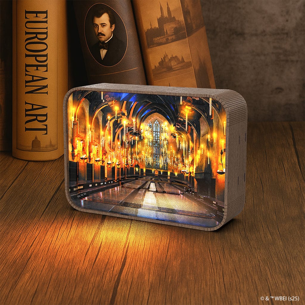 Harry Potter The Great Hall - 3D DIY Wooden Puzzle Night Lamp