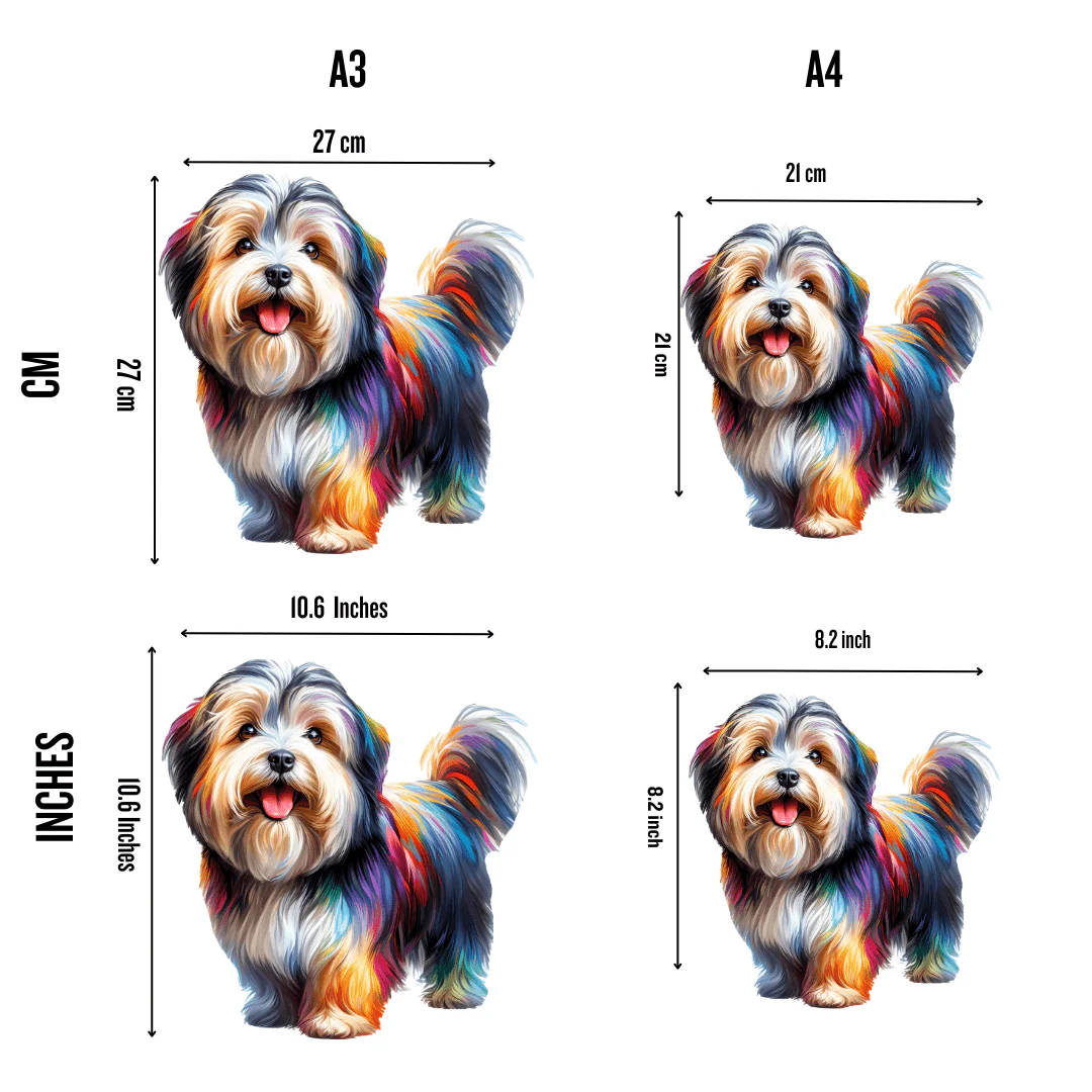 Tibetan Terrier Dog - Jigsaw Puzzle