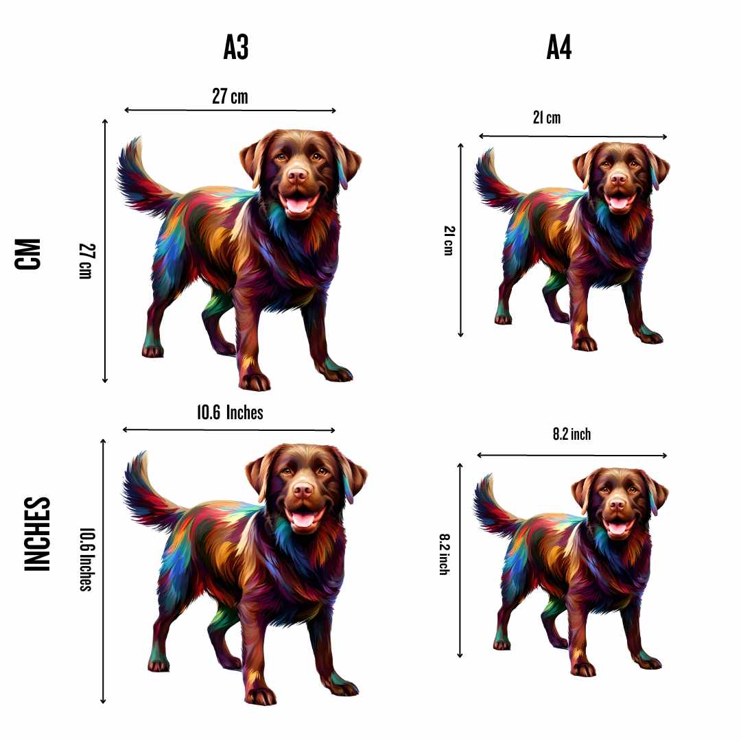 Chocolate Labrador Retriever Dog - Jigsaw Puzzle