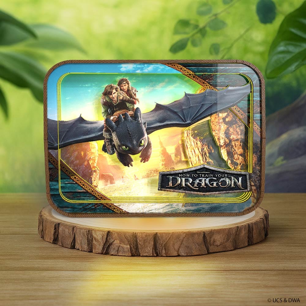 How to Train Your Dragon - 3D DIY Wooden Puzzle Night Lamp