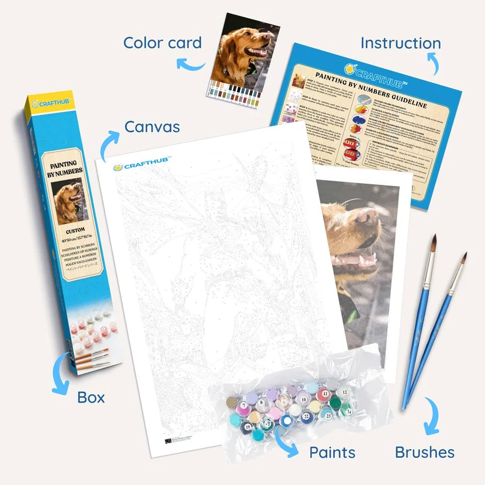 Custom Paint by Numbers Kit