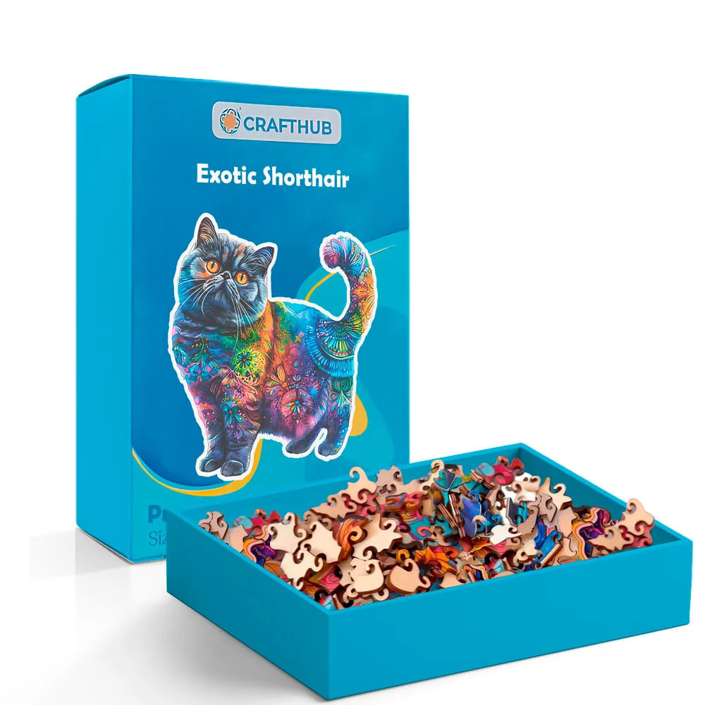 Exotic Shorthair Cat - Jigsaw Puzzle