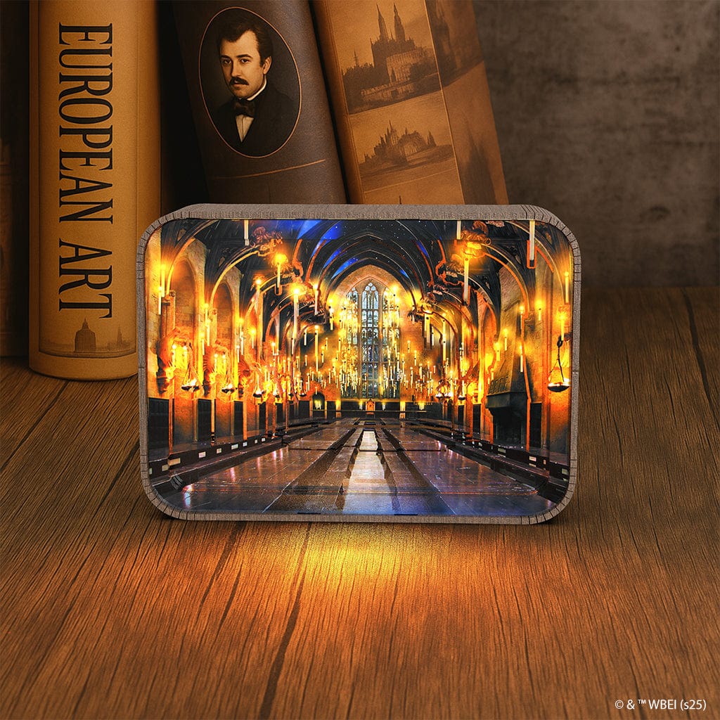 Harry Potter The Great Hall - 3D DIY Wooden Puzzle Night Lamp