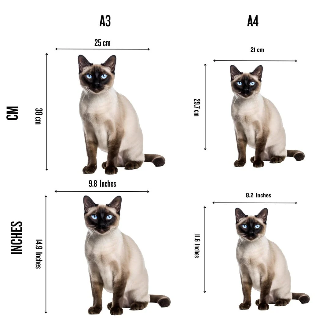 Siamese Cat - Jigsaw Puzzle