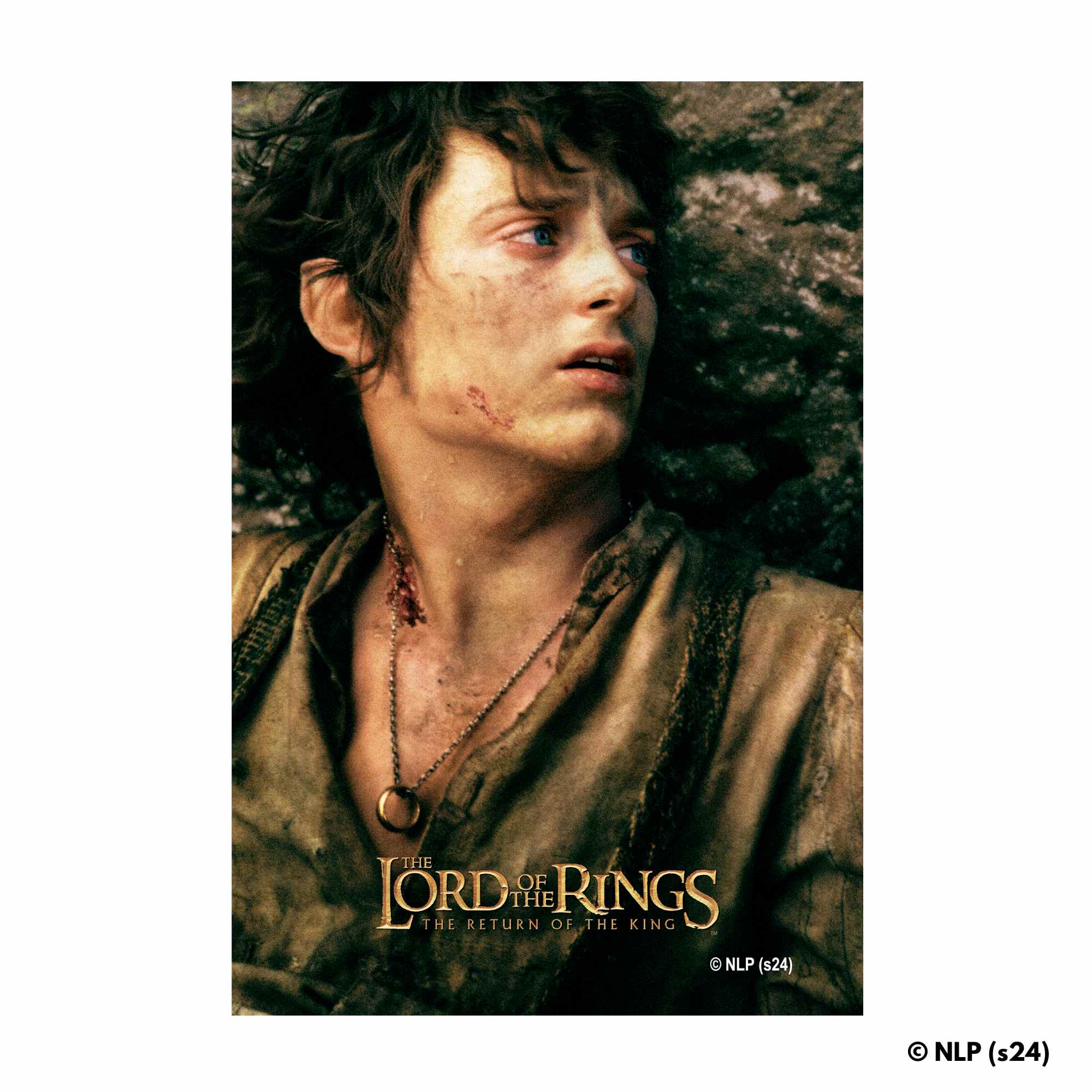 Frodo Baggins - Wooden Jigsaw Puzzle