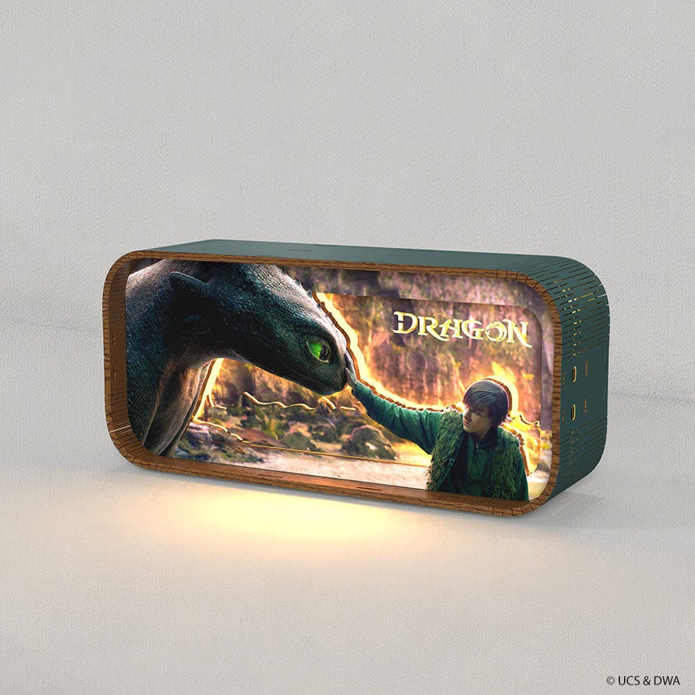 This Is Berk - 3D DIY Wooden Puzzle Night Lamp