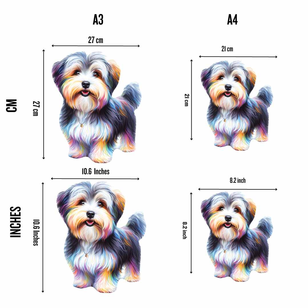 Havanese Dog - Jigsaw Puzzle